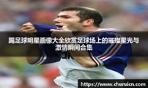 踢足球明星画像大全欣赏足球场上的璀璨星光与激情瞬间合集